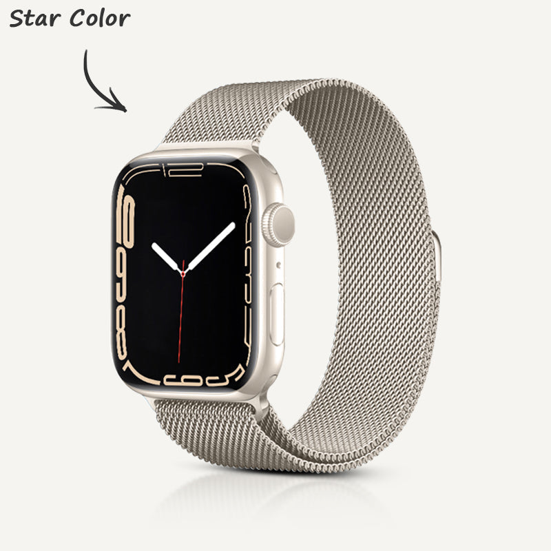 Stainless Steel Alloy Magnetic Strap