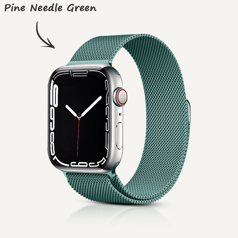 Stainless Steel Alloy Magnetic Strap