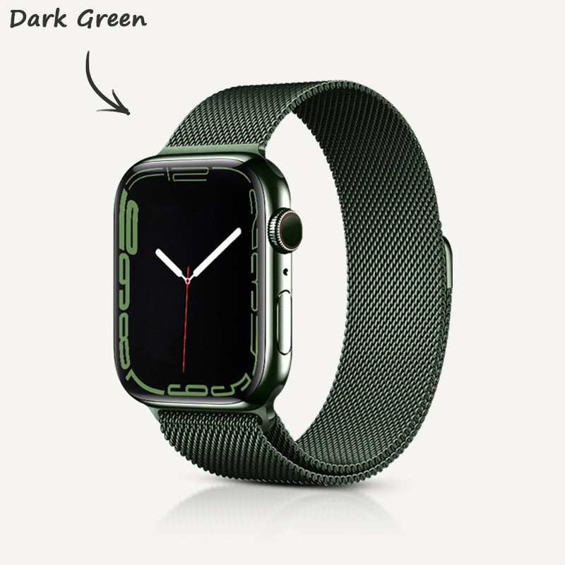 Stainless Steel Alloy Magnetic Strap