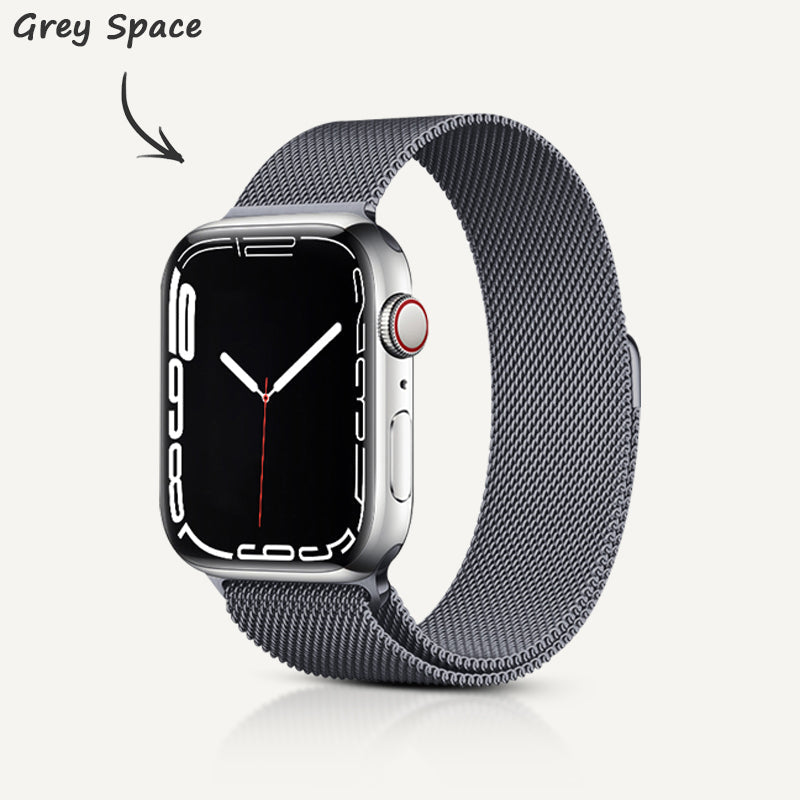 Stainless Steel Alloy Magnetic Strap